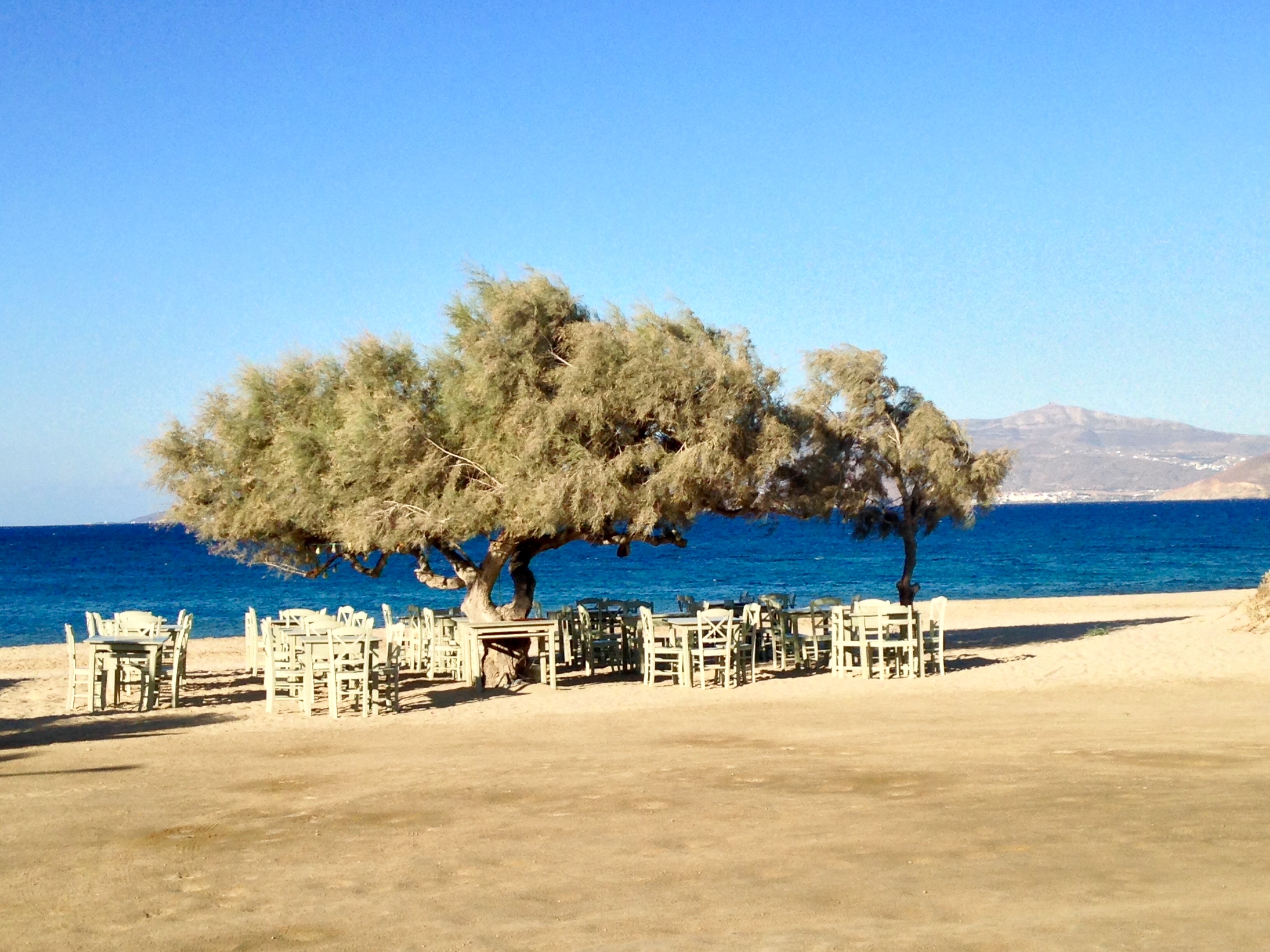 Paradiso Taverne auf Naxos