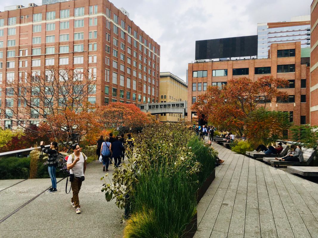Plants and chill areas Highline Park
