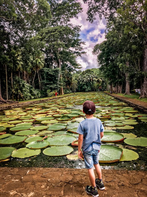 Ein Highlight im Botanical Garden