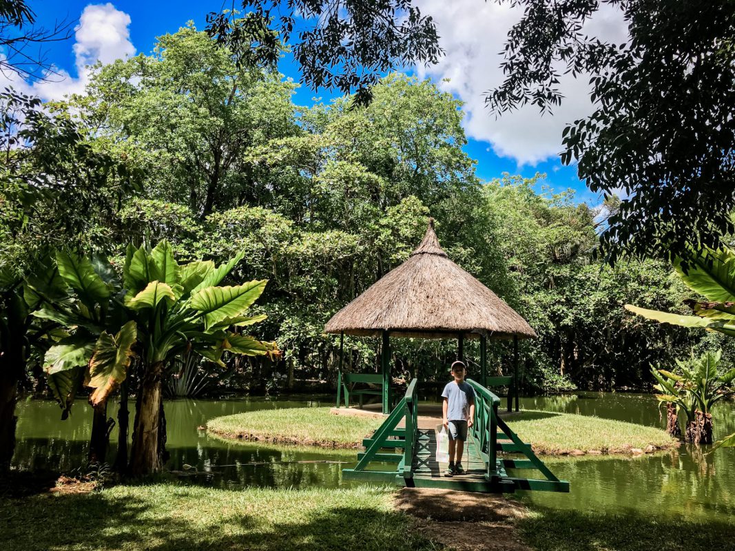 Grüner Botanical Garden Mauritius