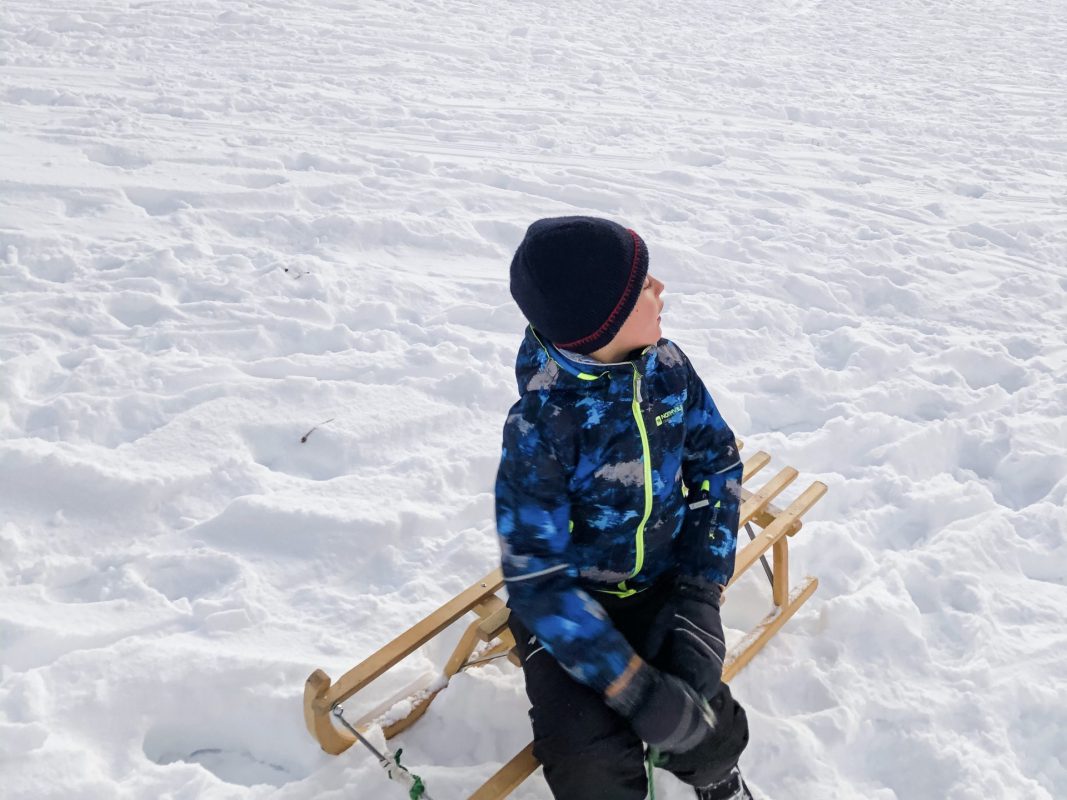Tobogganing Bavarian Forest