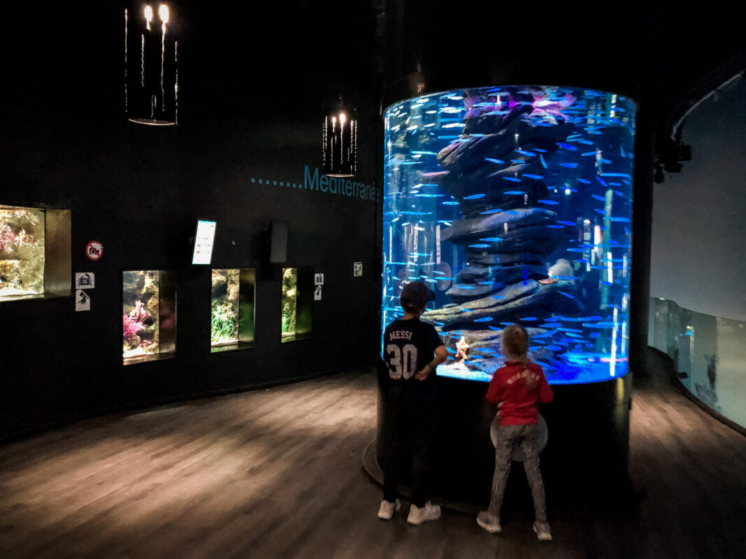 Hübsch angelegte Aquarienbecken