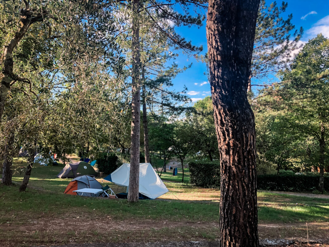 Wiese auf dem Camping Internazionale Firenze